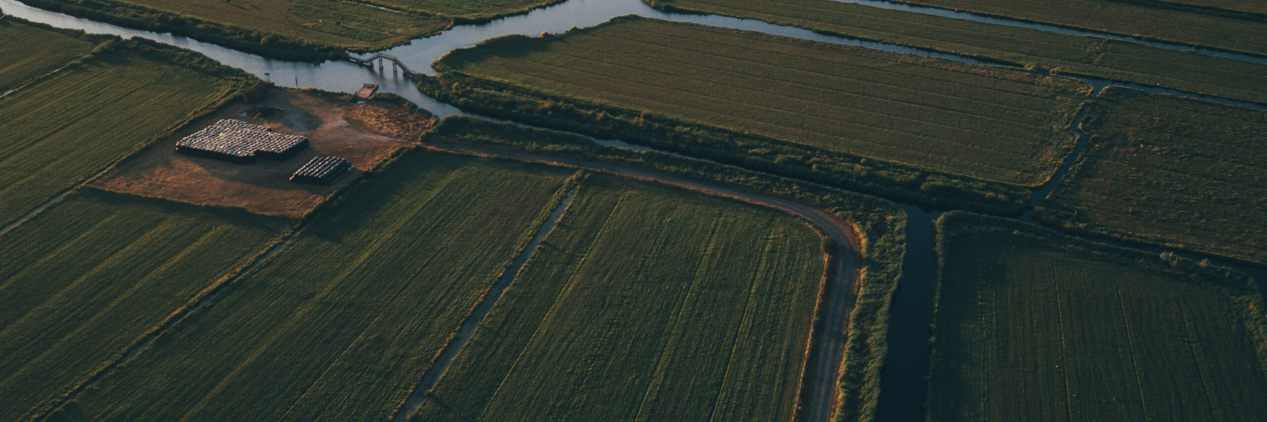 Agriculture Automation: smart irrigation
